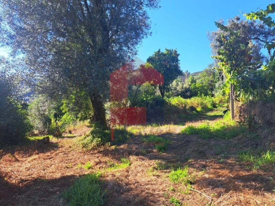 Moradia para Venda em Valdreu Foto 7