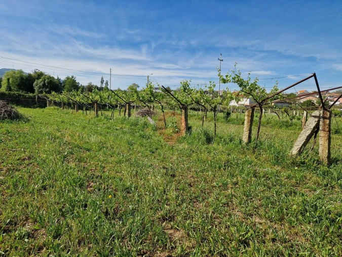 Moradia T1 para Venda em Bela Foto 9