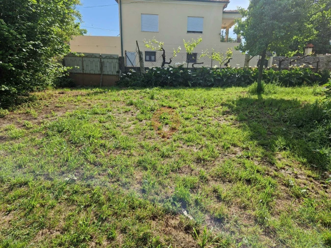 Moradia T1 para Venda em Bela Foto 6