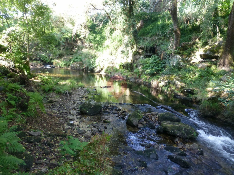 Quinta T0 para Venda em Ceivães e Badim Foto 7