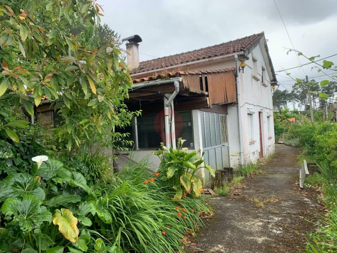 Moradia T3 para Venda em Monção e Troviscoso Foto 3