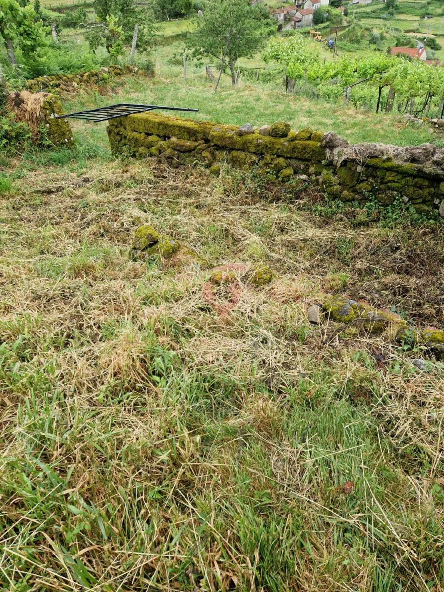 Moradia T0 para Venda em Tangil Foto 14