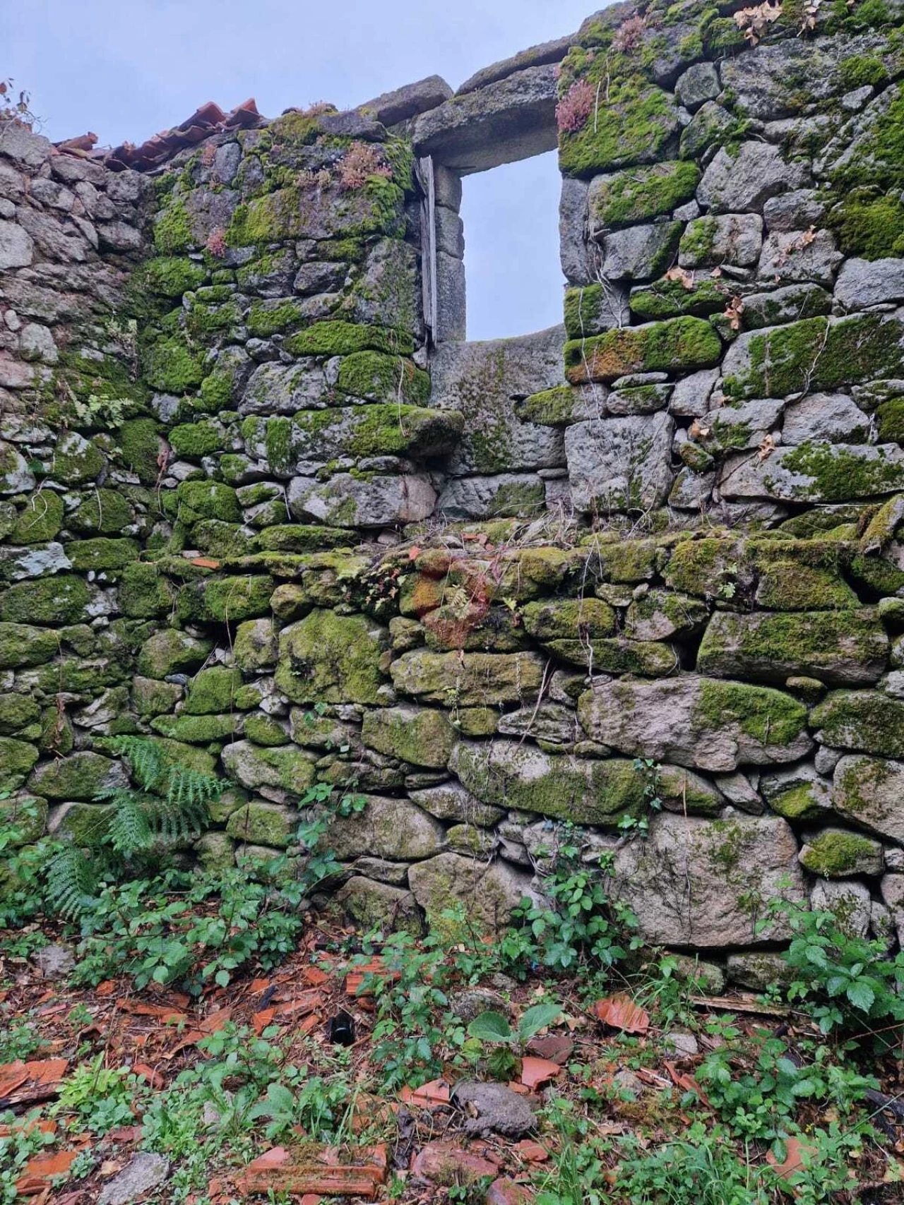 Moradia T0 para Venda em Tangil Foto 5