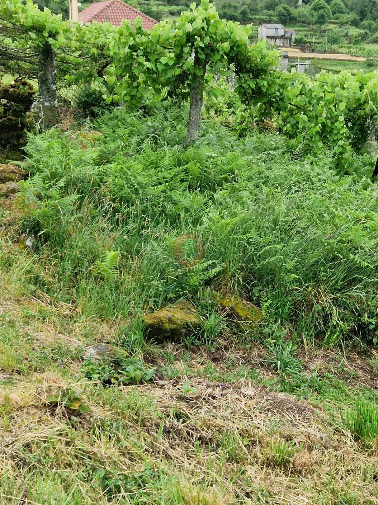 Moradia T0 para Venda em Tangil Foto 8