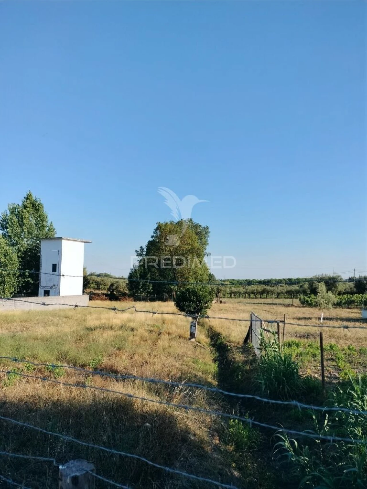 Terreno para Venda em Torres Novas (Santa Maria, Salvador e Santiago) Foto 8