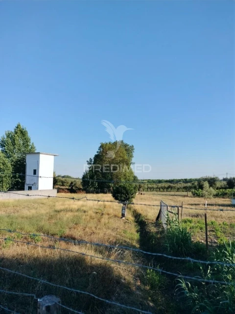 Terreno para Venda em Torres Novas (Santa Maria, Salvador e Santiago)