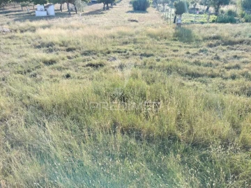 Terreno para Venda em Torres Novas (Santa Maria, Salvador e Santiago)