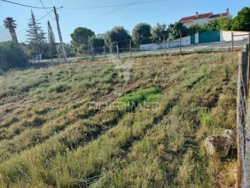 Terreno para Venda em Torres Novas (Santa Maria, Salvador e Santiago)