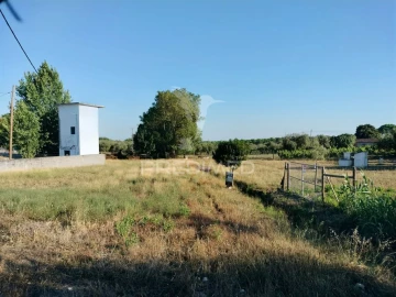Terreno para Venda em Torres Novas (Santa Maria, Salvador e Santiago)