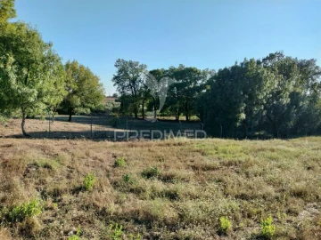 Terreno para Venda em Torres Novas (Santa Maria, Salvador e Santiago)