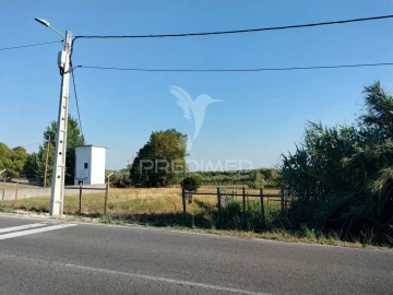 Terreno para Venda em Torres Novas (Santa Maria, Salvador e Santiago)