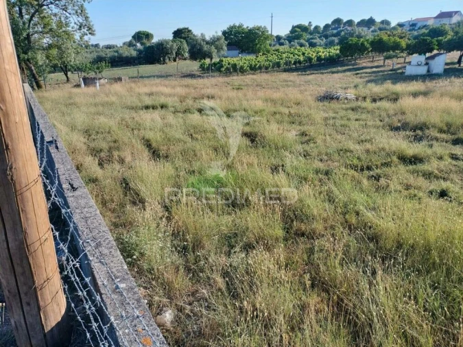Terreno para Venda em Torres Novas (Santa Maria, Salvador e Santiago) Foto 19