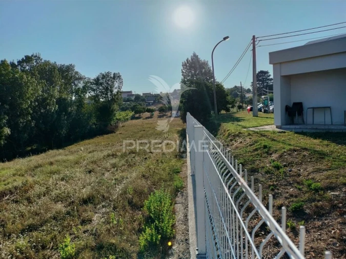 Terreno para Venda em Torres Novas (Santa Maria, Salvador e Santiago) Foto 14