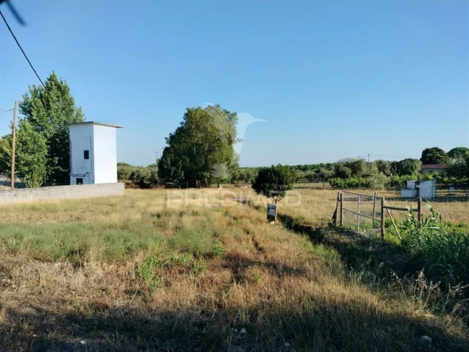 Terreno para Venda em Torres Novas (Santa Maria, Salvador e Santiago) Foto 9