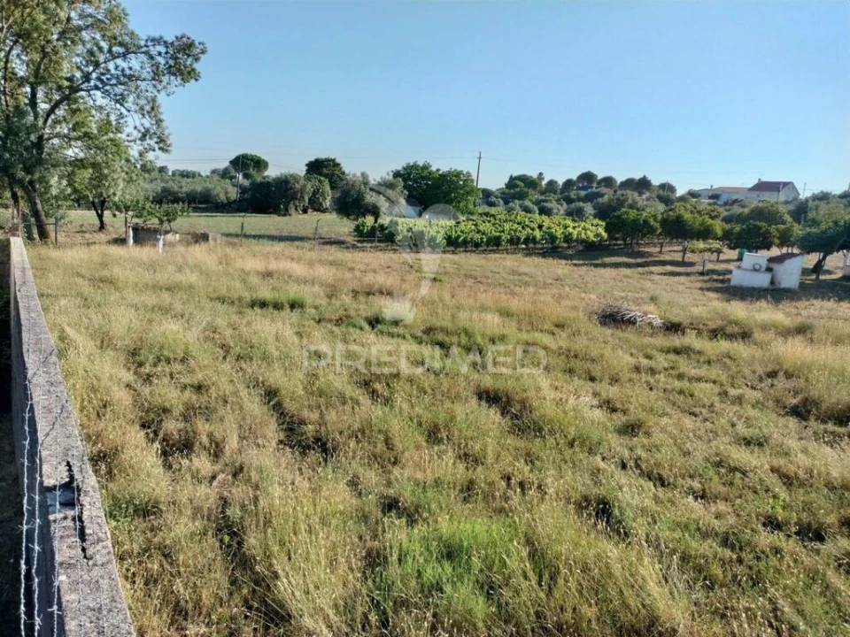 Terreno para Venda em Torres Novas (Santa Maria, Salvador e Santiago) Foto 4