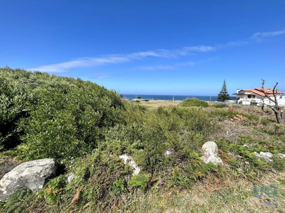 Terreno para Venda em Vila Praia de Ancora Foto 7