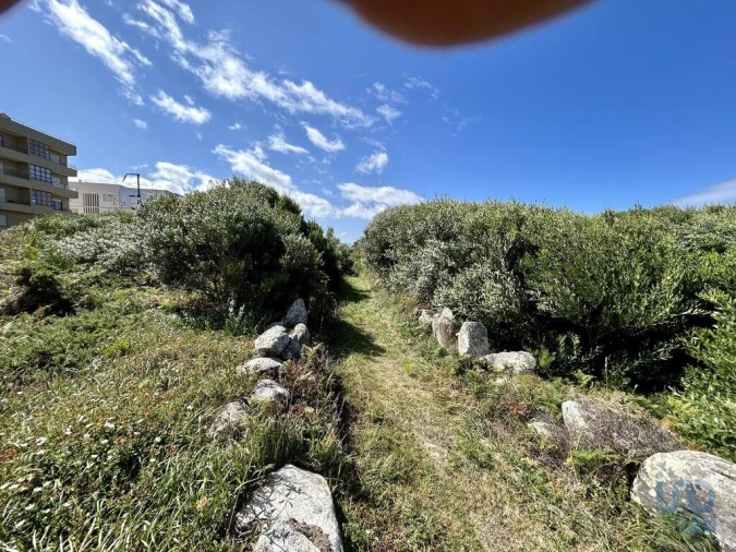 Terreno para Venda em Vila Praia de Ancora Foto 11