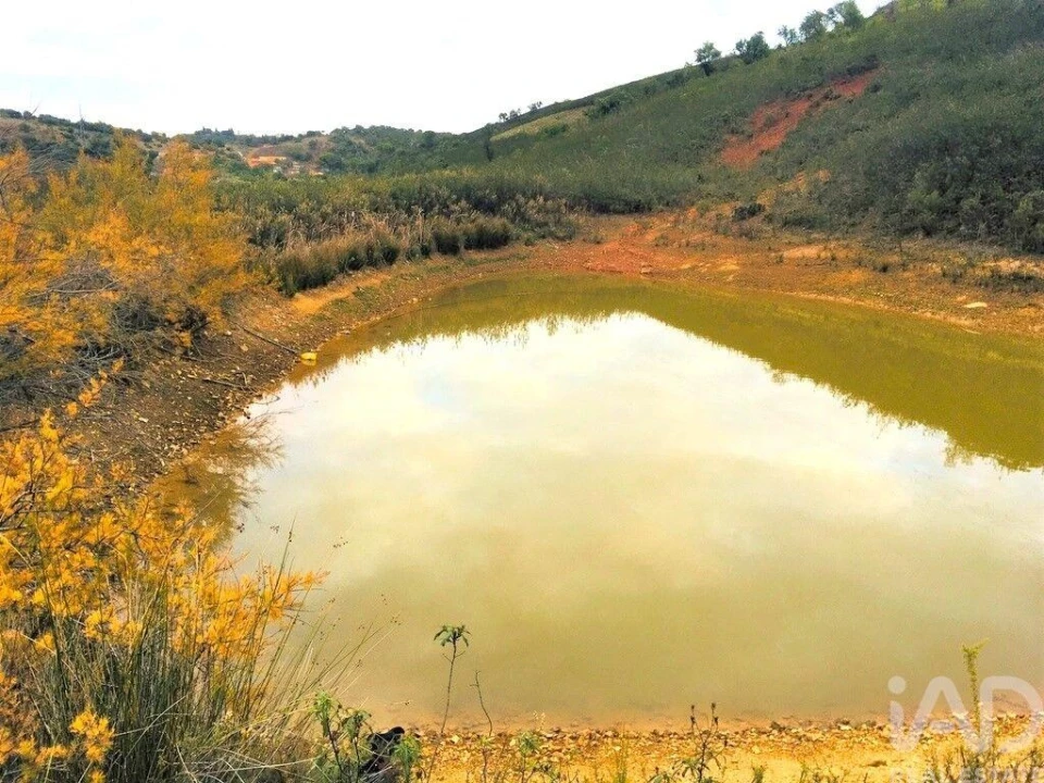 Terreno para Venda em Mexilhoeira Grande Foto 26