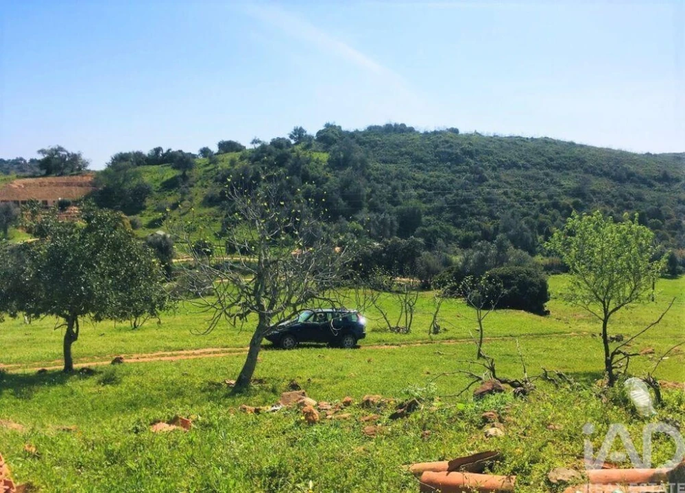 Terreno para Venda em Mexilhoeira Grande Foto 20