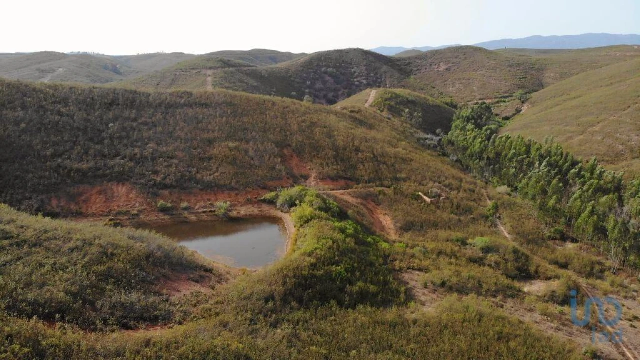 Terreno para Venda em Mexilhoeira Grande Foto 4