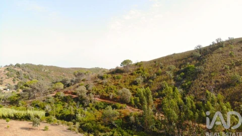 Terreno para Venda em Mexilhoeira Grande