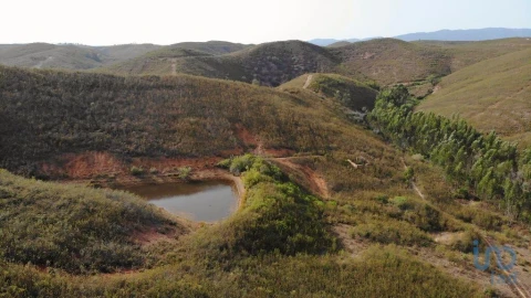 Terreno para Venda em Mexilhoeira Grande