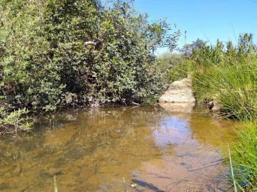 Terreno para Venda em Mexilhoeira Grande