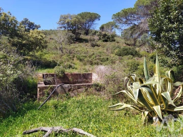Terreno para Venda em Mexilhoeira Grande