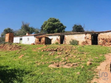 Terreno para Venda em Mexilhoeira Grande