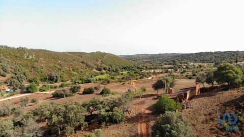 Terreno para Venda em Mexilhoeira Grande