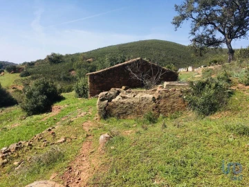 Terreno para Venda em Mexilhoeira Grande