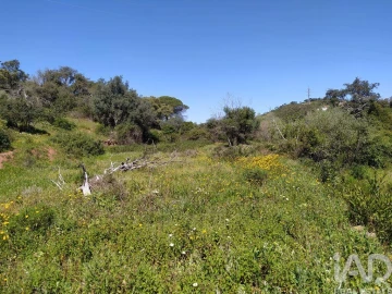 Terreno para Venda em Mexilhoeira Grande