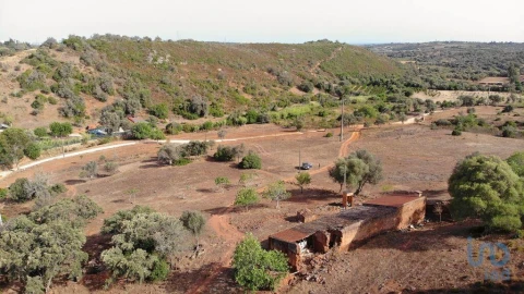 Terreno para Venda em Mexilhoeira Grande