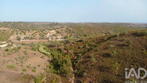 Terreno para Venda em Mexilhoeira Grande