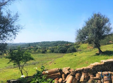 Terreno para Venda em Mexilhoeira Grande