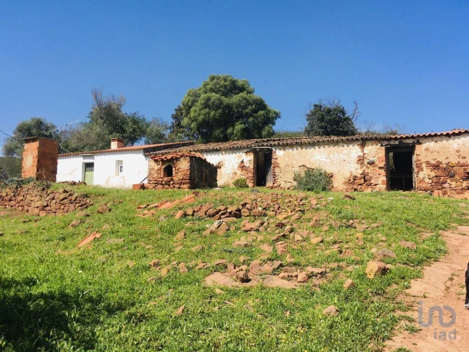 Terreno para Venda em Mexilhoeira Grande Foto 7