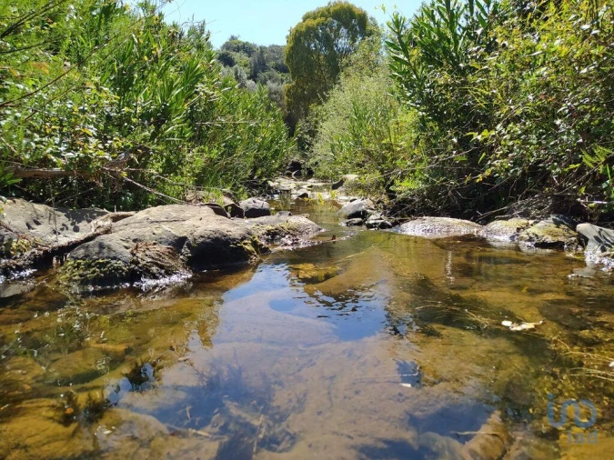 Terreno para Venda em Mexilhoeira Grande Foto 2