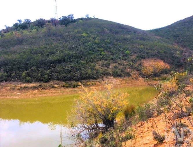 Terreno para Venda em Mexilhoeira Grande Foto 27