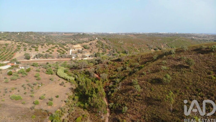 Terreno para Venda em Mexilhoeira Grande Foto 29