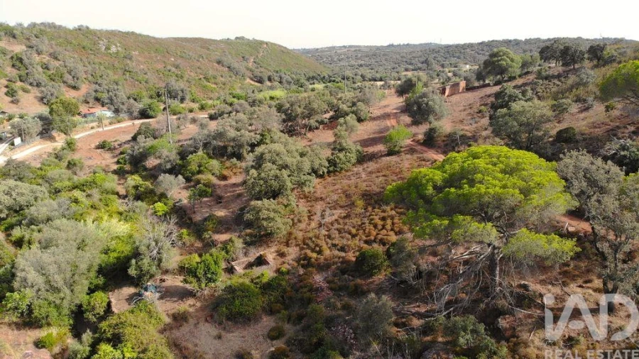 Terreno para Venda em Mexilhoeira Grande Foto 28
