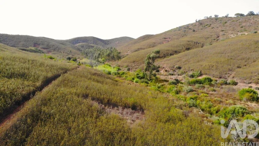 Terreno para Venda em Mexilhoeira Grande Foto 25