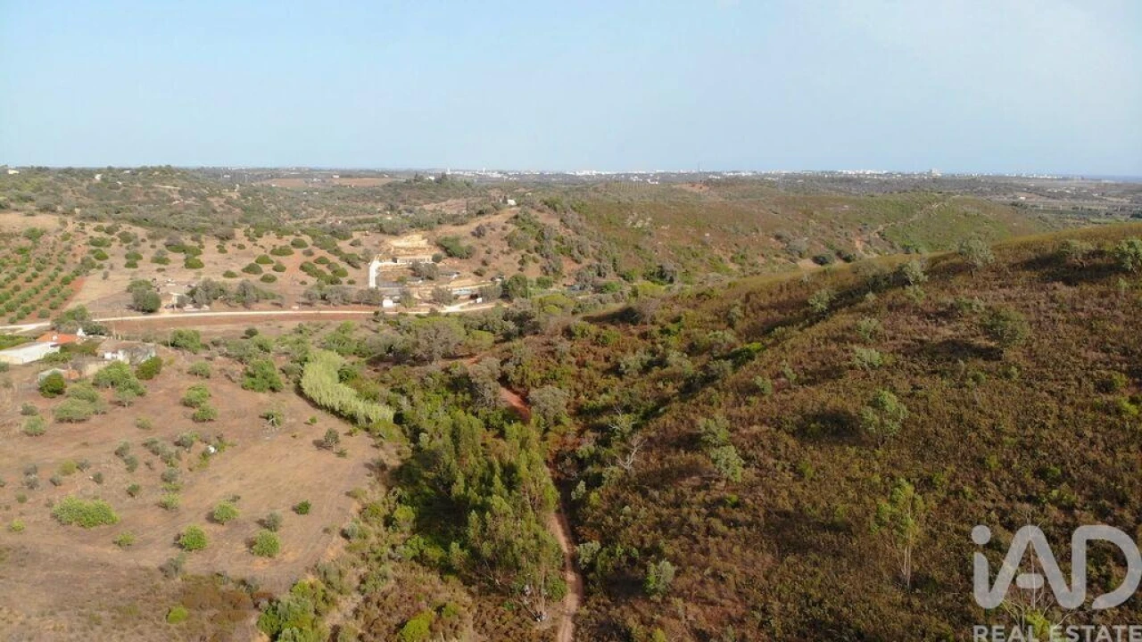Terreno para Venda em Mexilhoeira Grande Foto 29