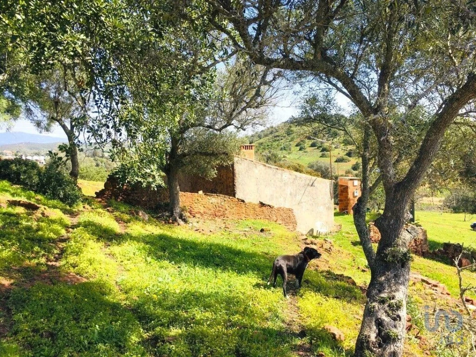 Terreno para Venda em Mexilhoeira Grande Foto 10