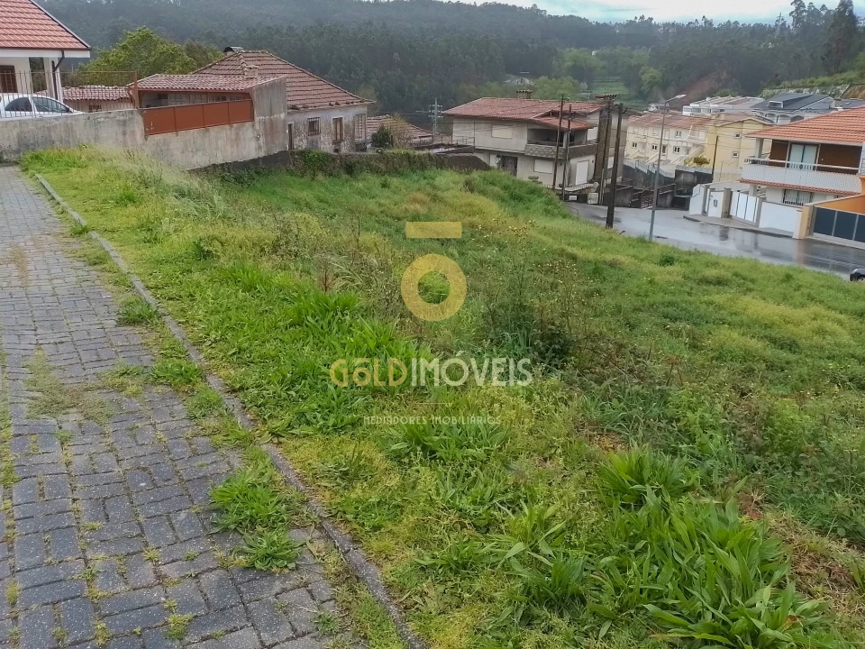 Terreno para Venda em Sanguedo Foto 3