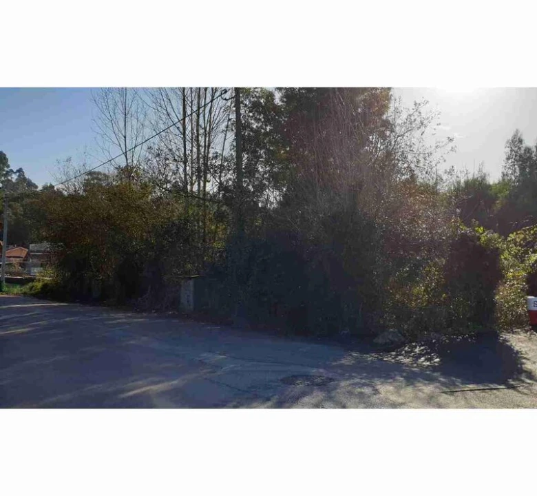 Terreno para Venda em Anta e Guetim Foto 1