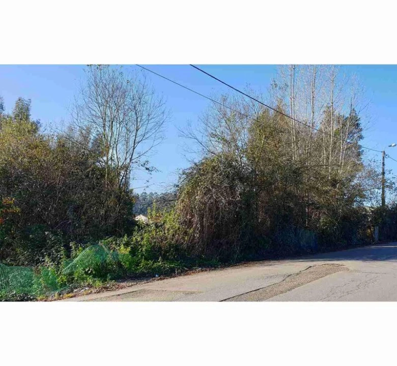 Terreno para Venda em Anta e Guetim Foto 2