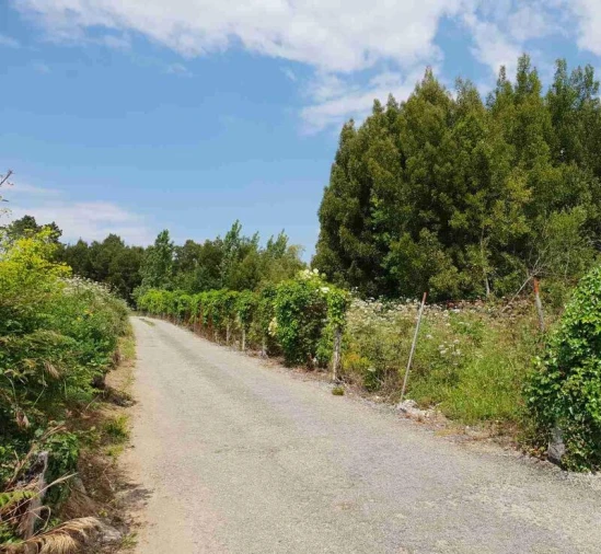 Terreno para Venda em Anta e Guetim Foto 3