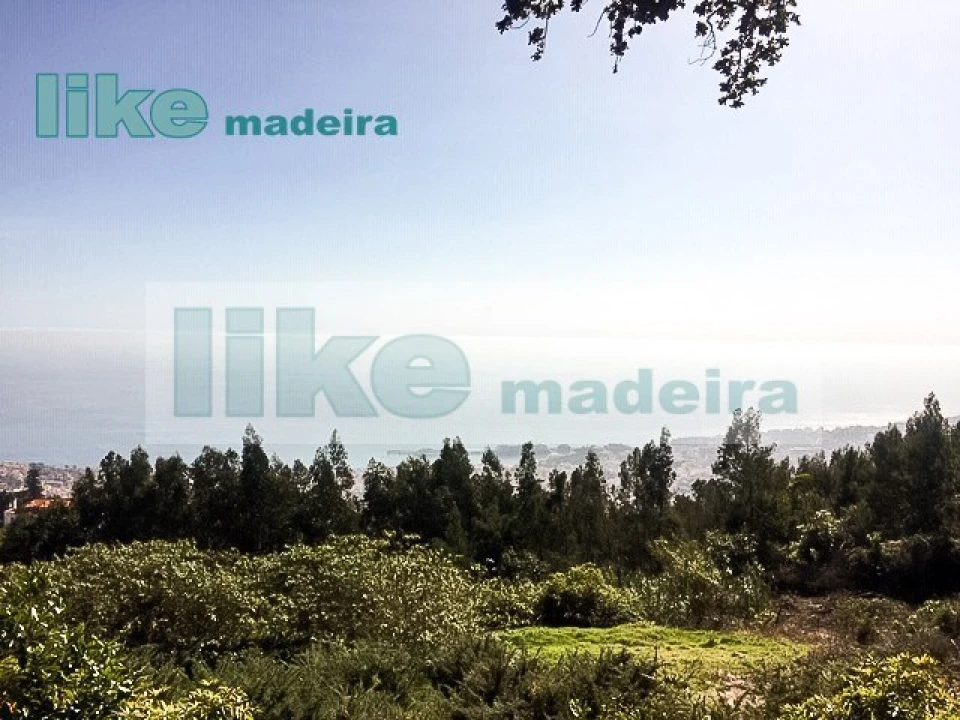 Quinta T4 para Venda em Monte Foto 1