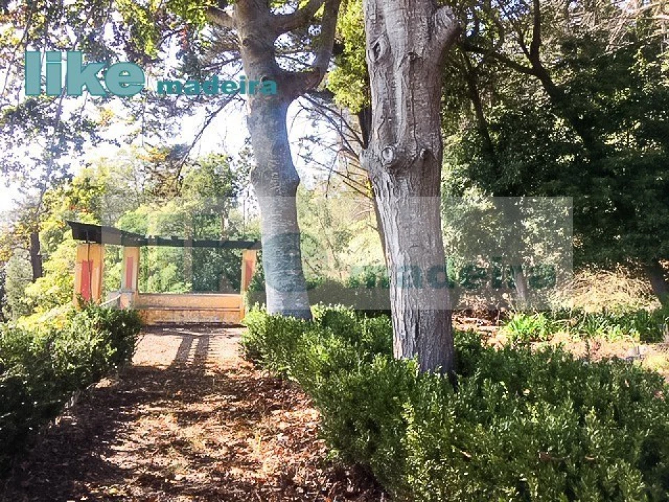 Quinta T4 para Venda em Monte Foto 2