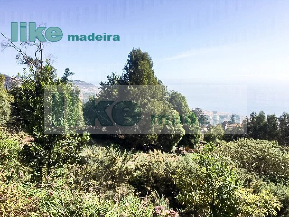 Quinta T4 para Venda em Monte Foto 3